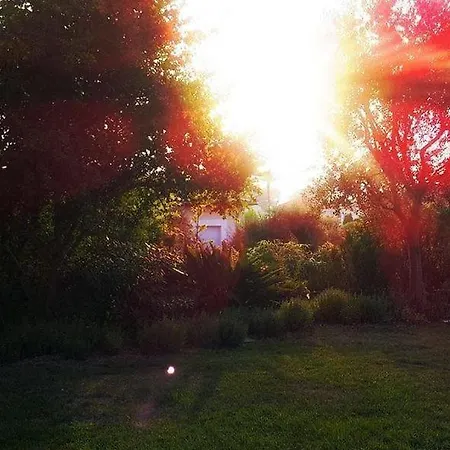 Nocleg ze śniadaniem Aloha Antibes