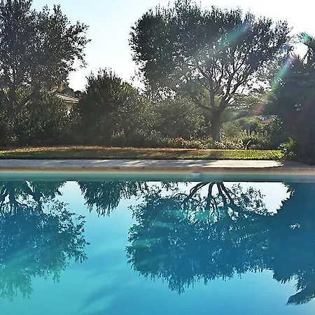 Aloha 住宿加早餐酒店 *